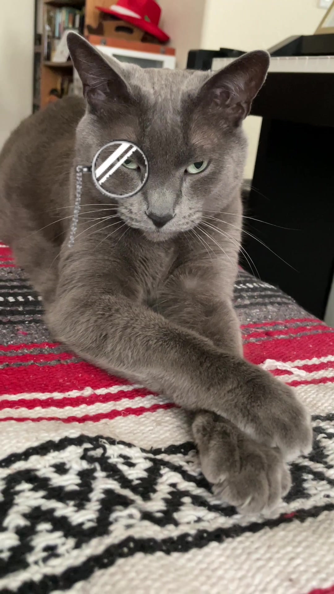 @ACatNamedMushroom