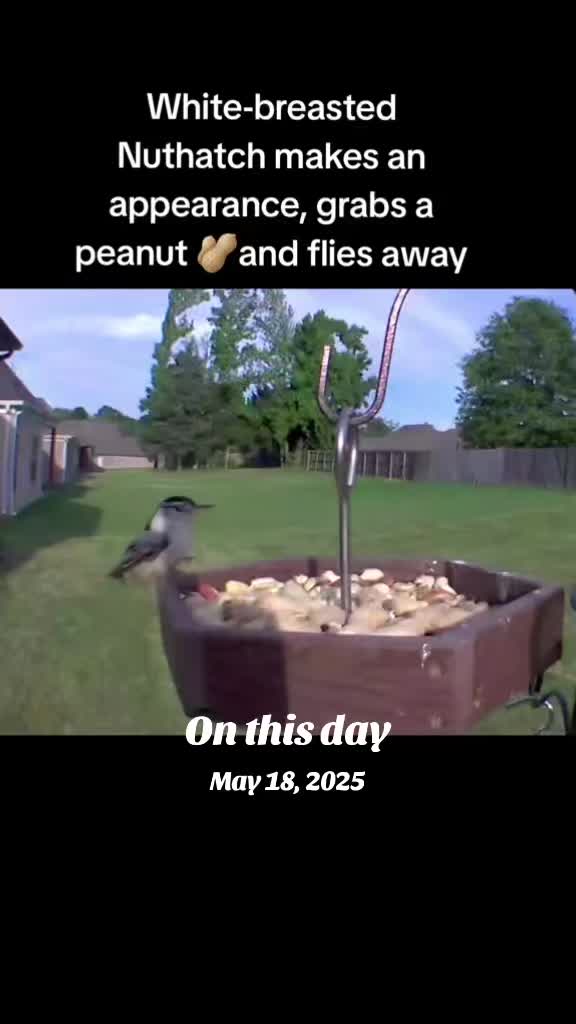 @The bird watcher 🐦 🦜 🦚