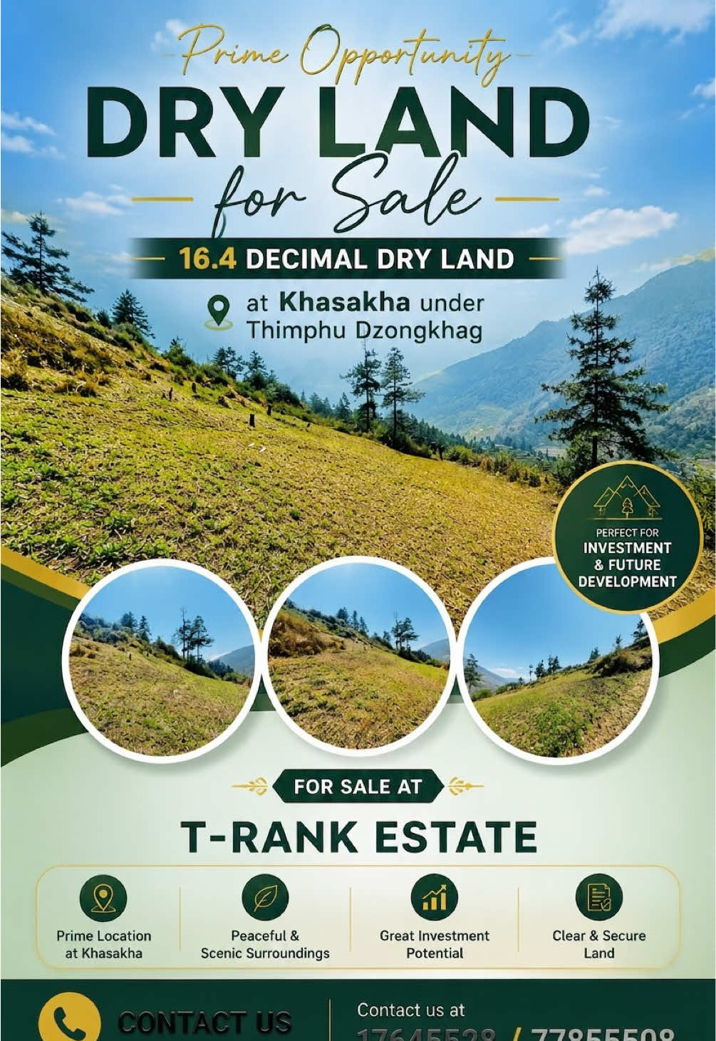 @T-Rank Estate
