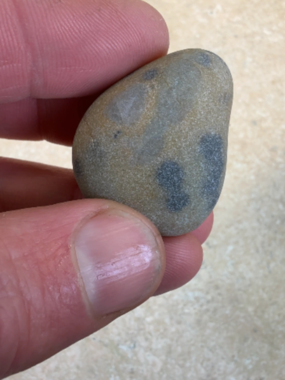 @Michigan Rocks