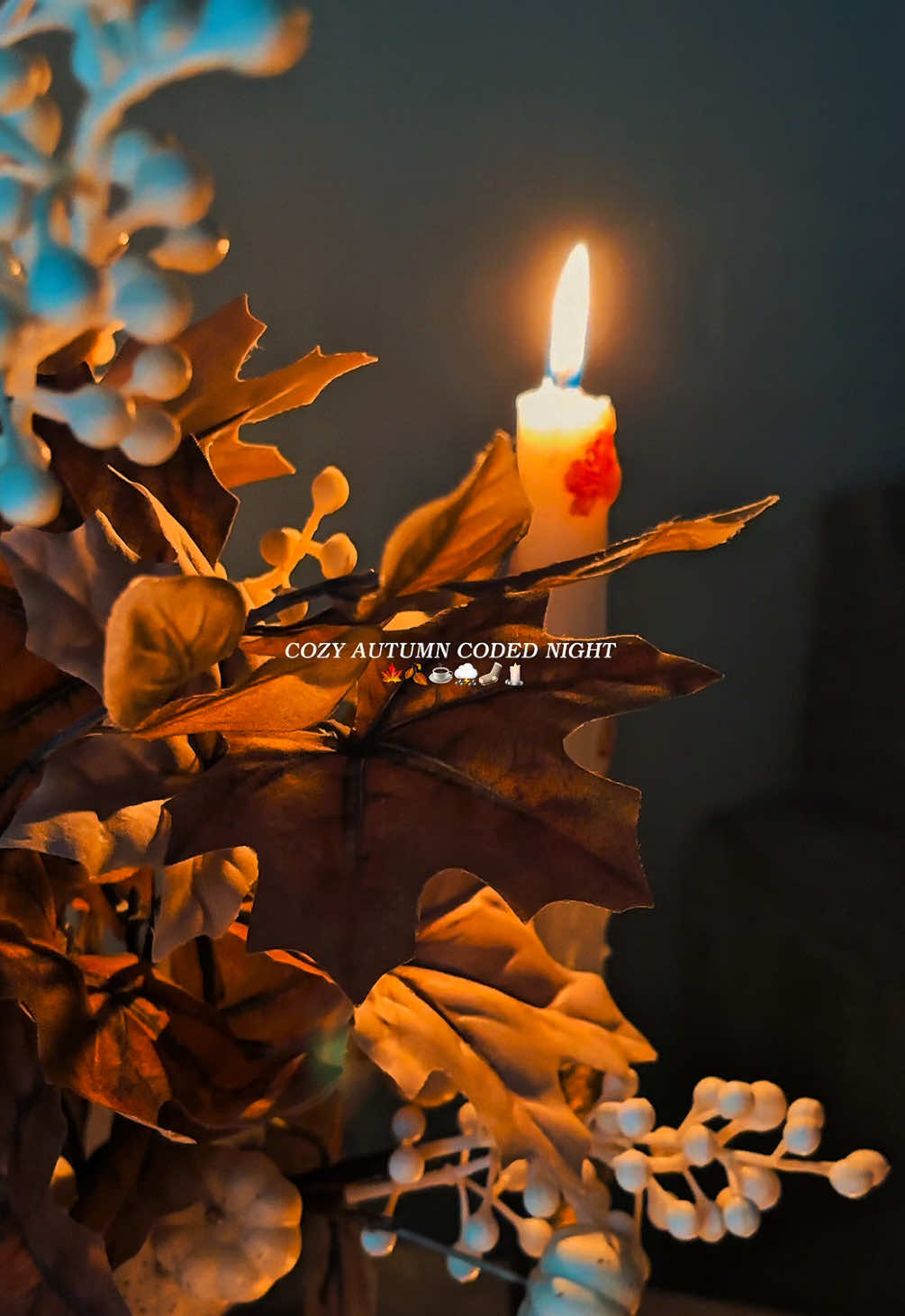 @Eternally.Cozy ๐โ๏ธ๐ฏ๏ธ๐