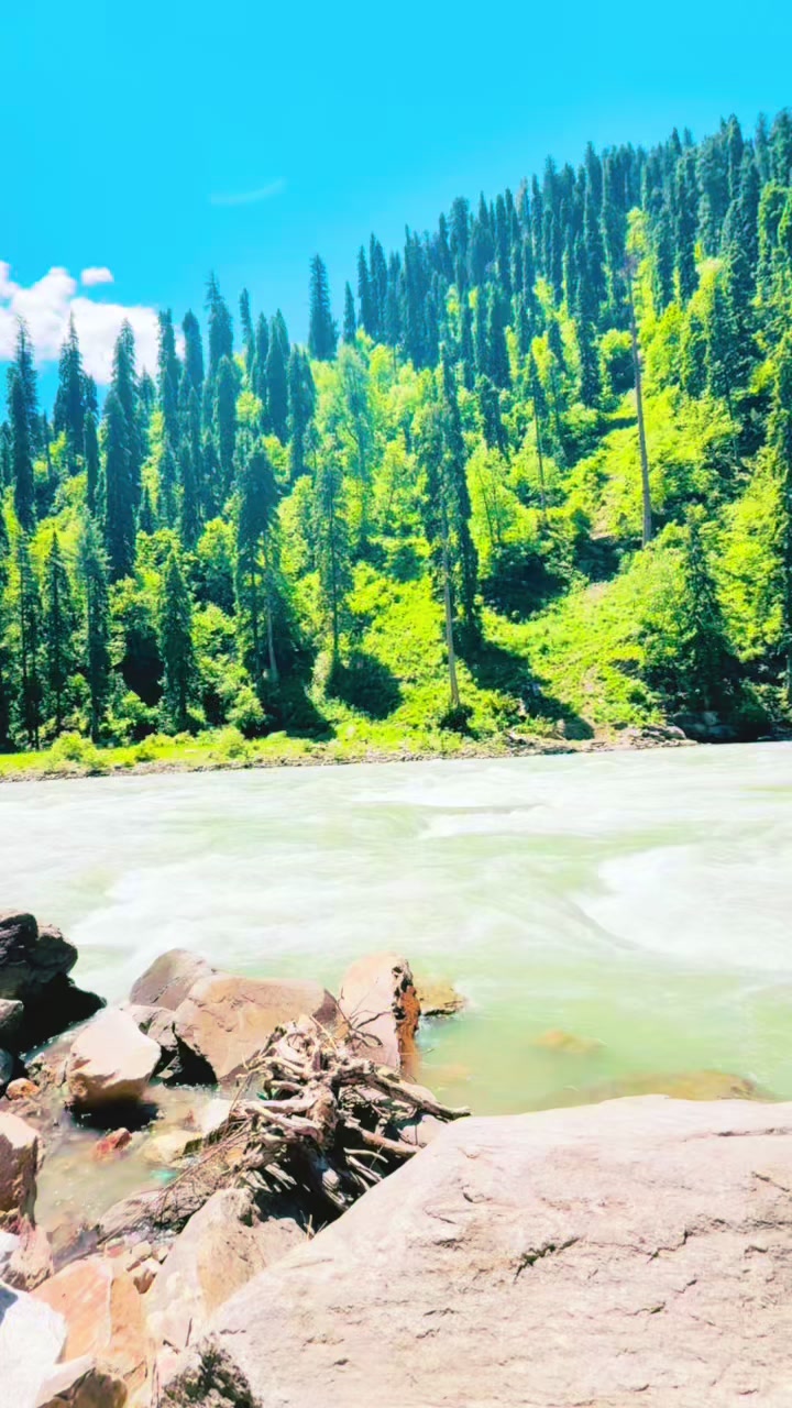 @Meherban Shah🔥