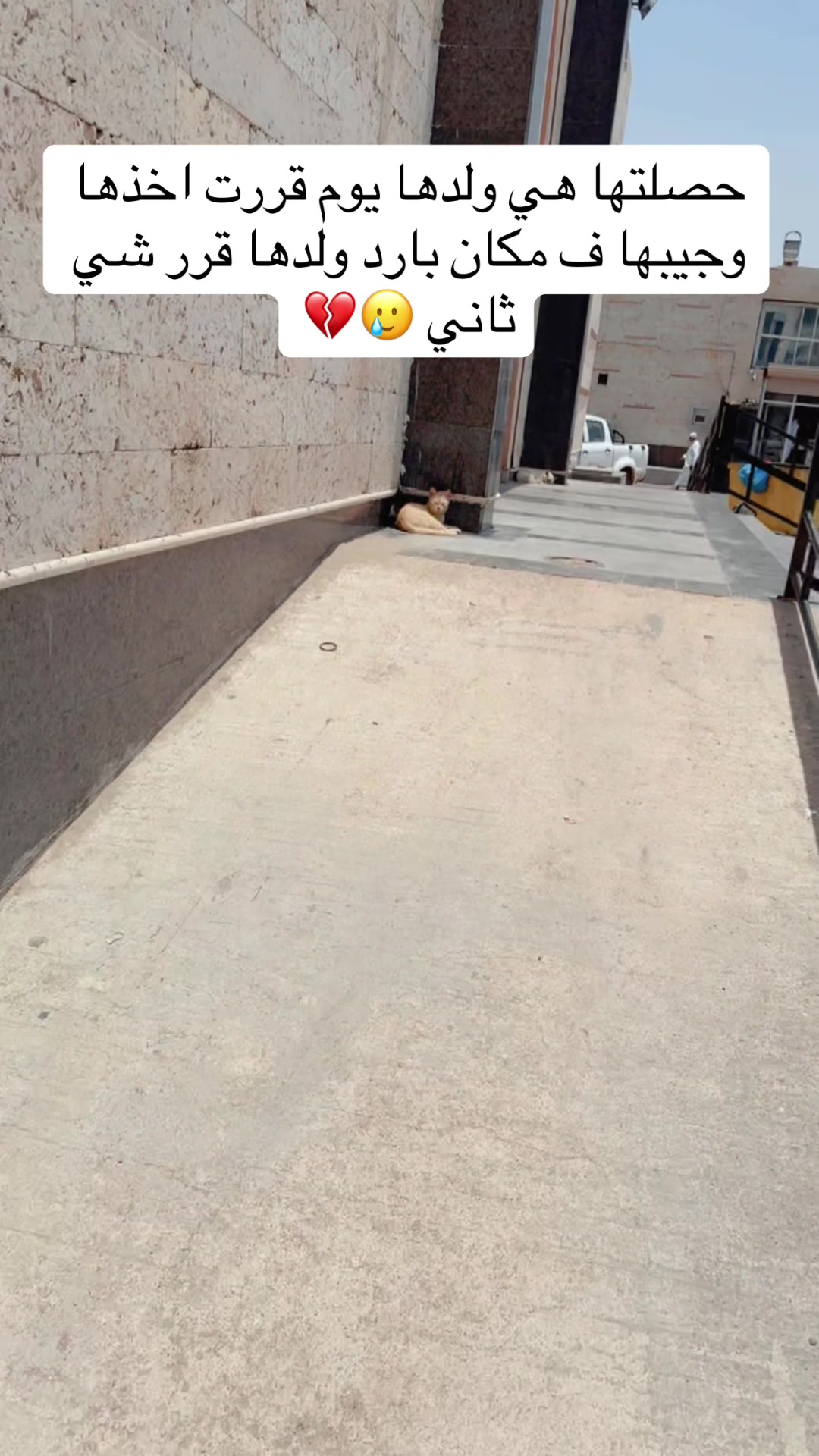 @مـاجـد✨