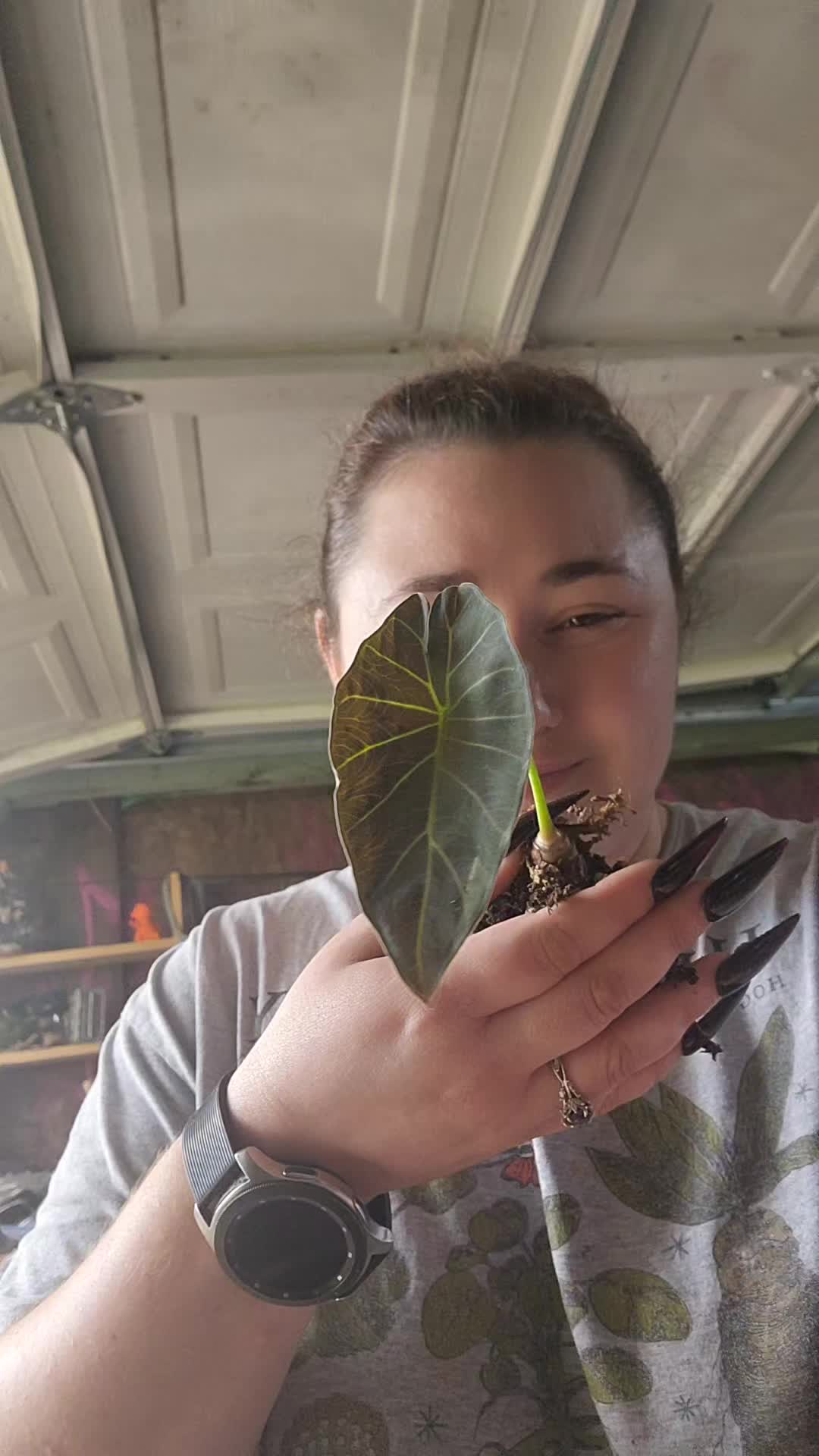 @PlantiStasia