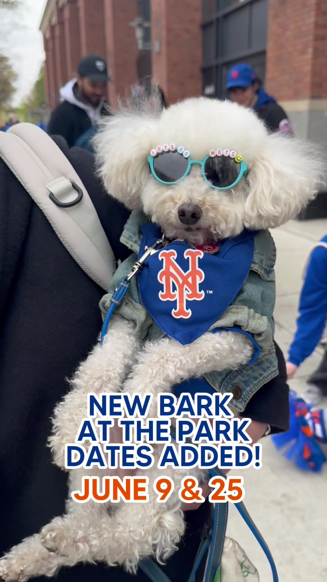 @New York Mets