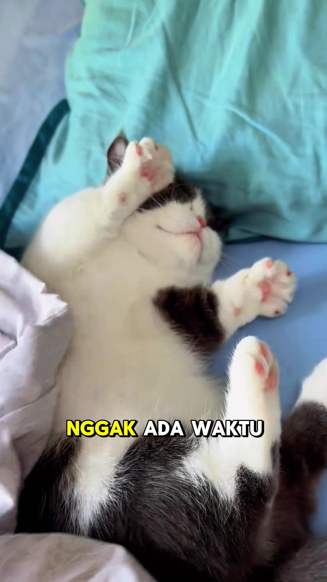 @MOCHA & MOCHI