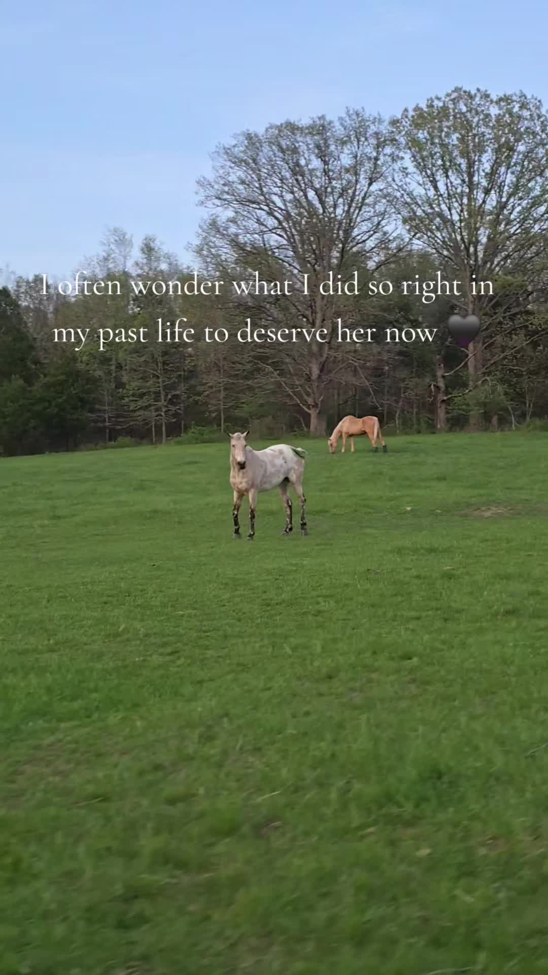 @Samantha Stahlman
