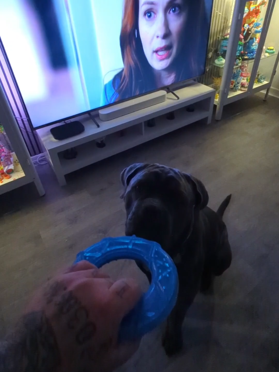 @TobiundBenno