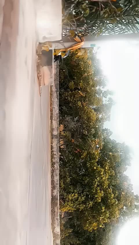 @ᴵᵀᶻ◉‿◉𝘾𝙧𝙖𝙯𝙮 𝘽𝙤𝙮?⋆⁺₊⋆ ☾