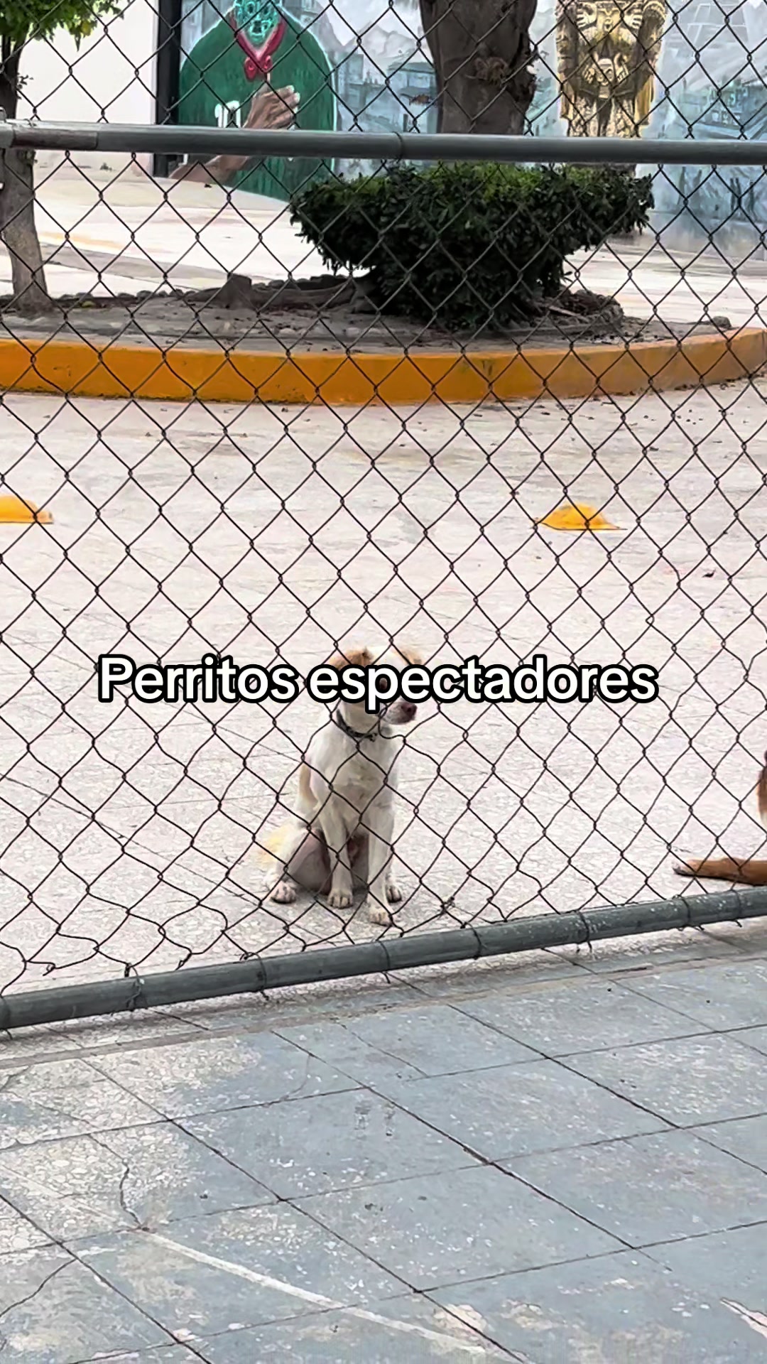 @Mad FÜ