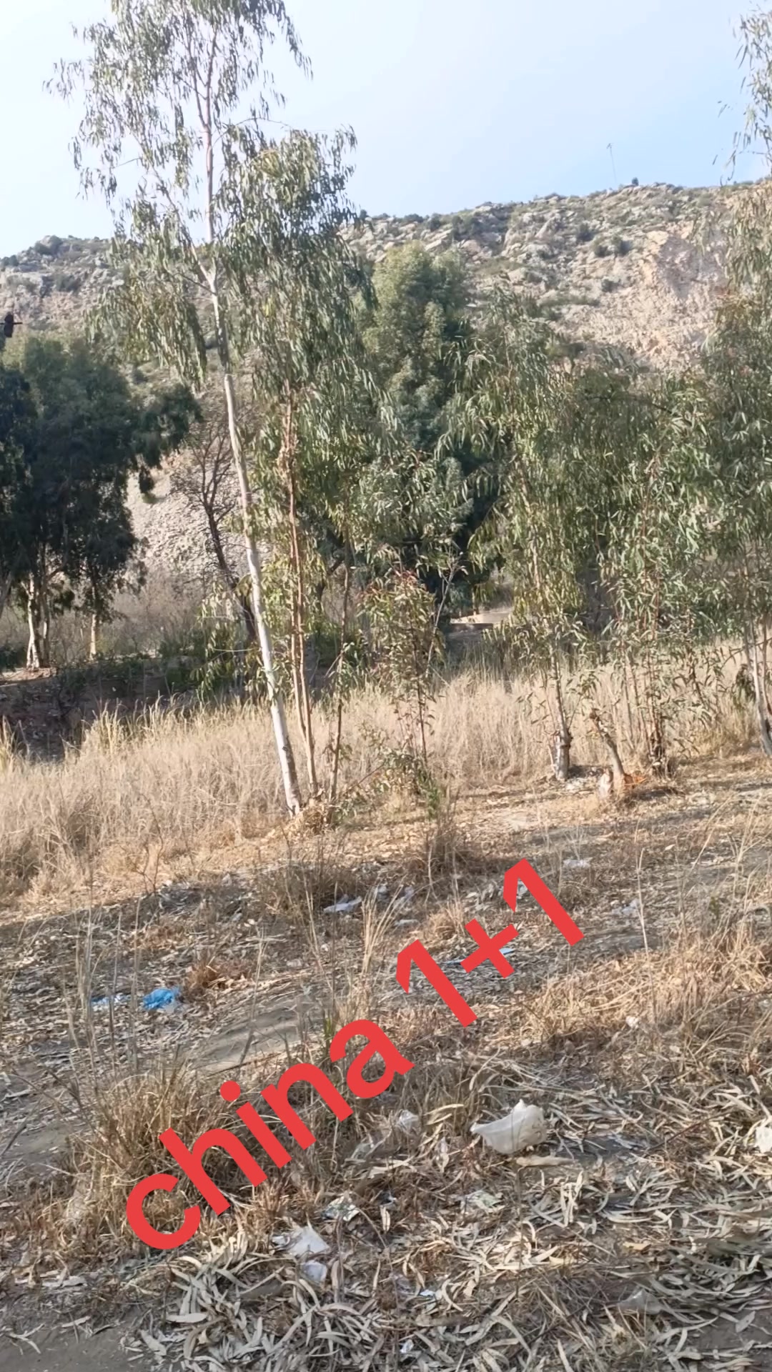 @China 1+1