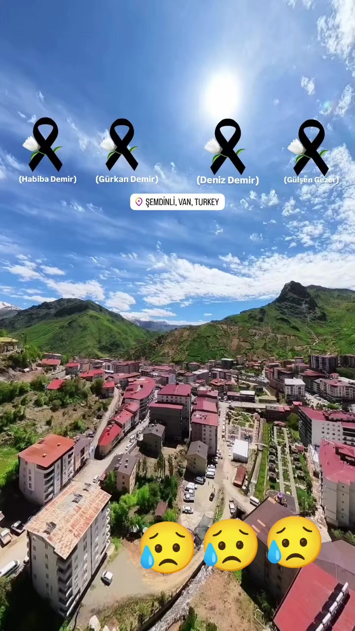 @xalxallok🐞🐞