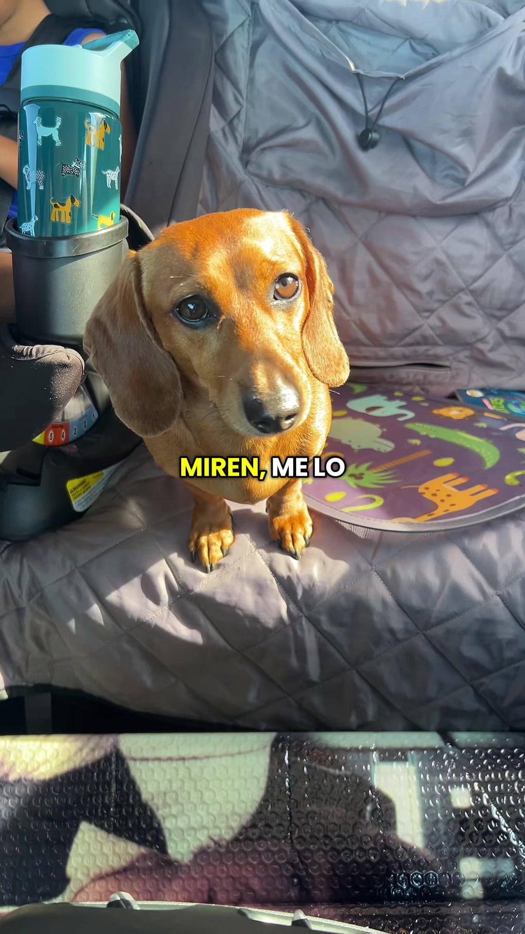 @Slinky Severus-Doo