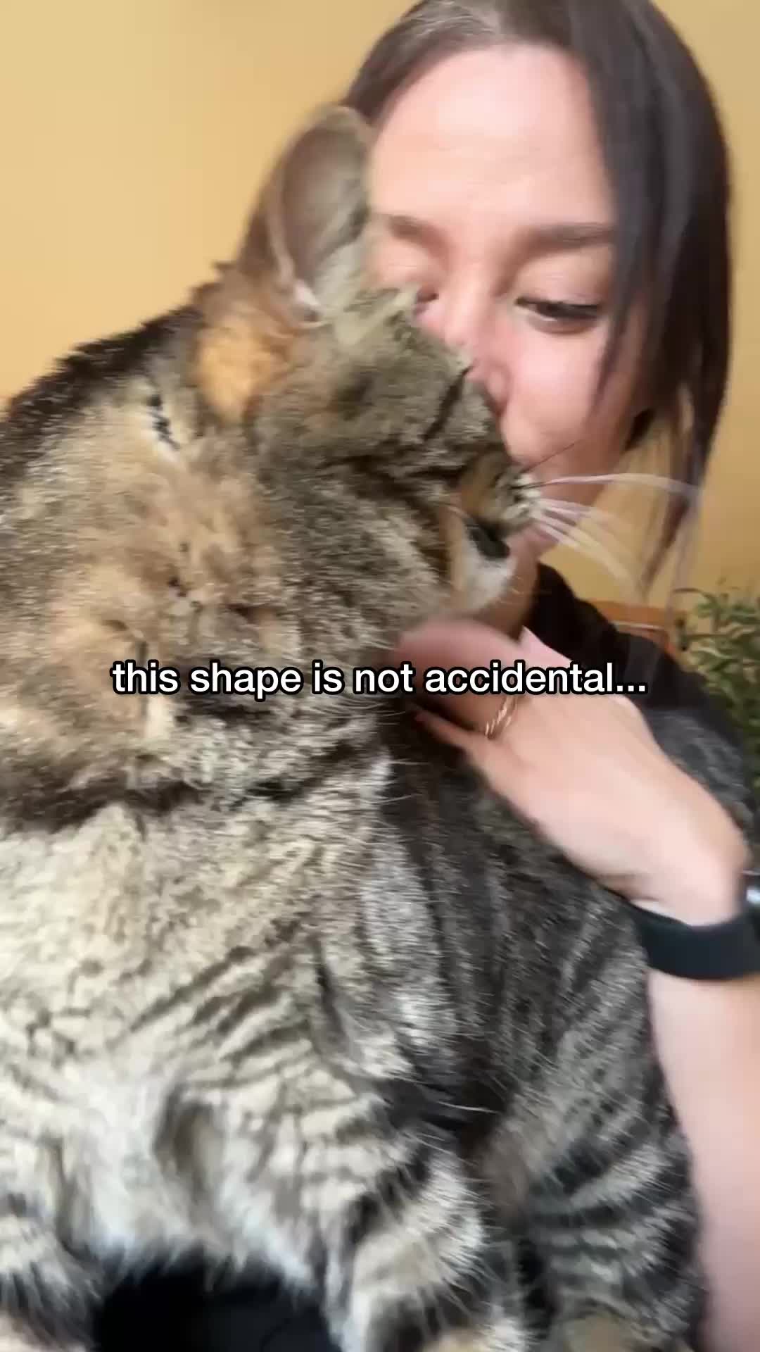 @Chip The Manx