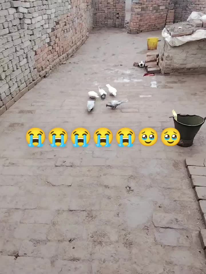 @03209598814