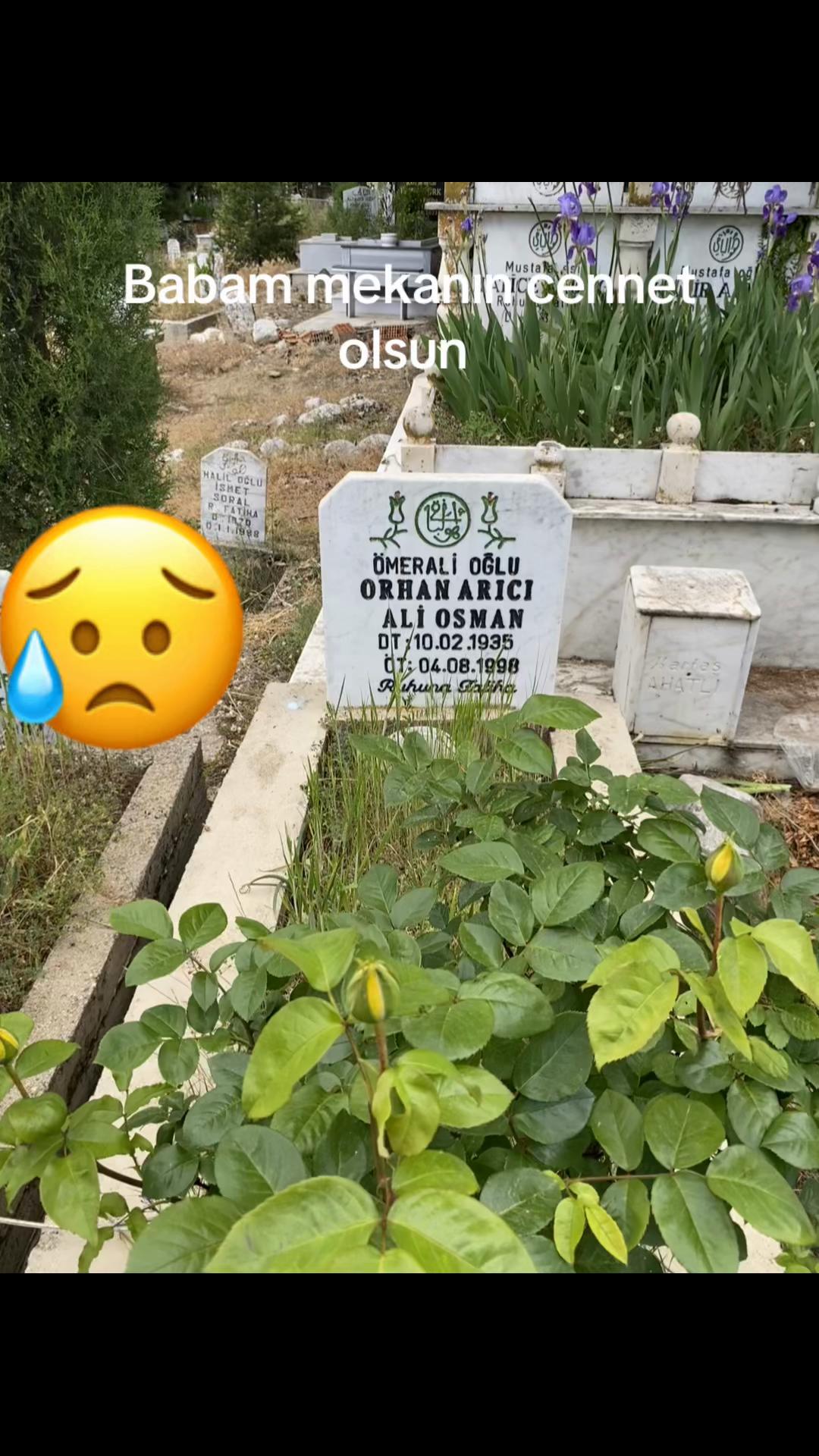 @Atilla_Arıcı07
