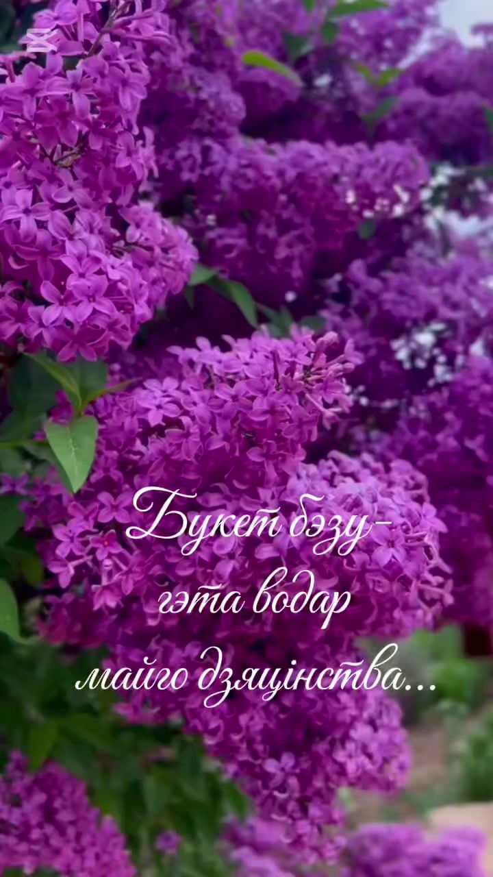 @Masha Orlowskaya