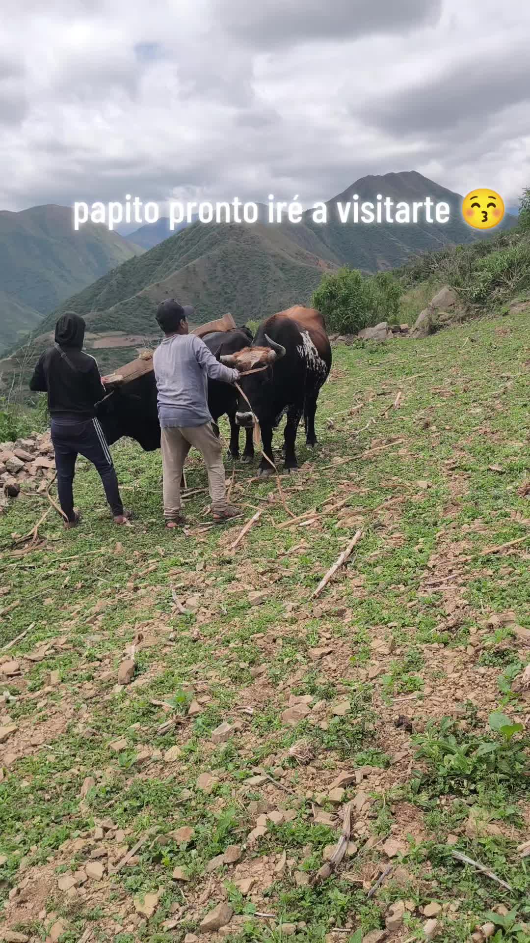 @Elsa Mendoza