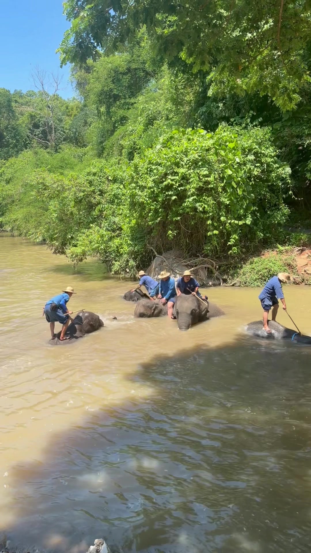 @Qvy Boonchanawiwat