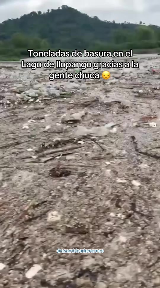@Asamblea de Memes