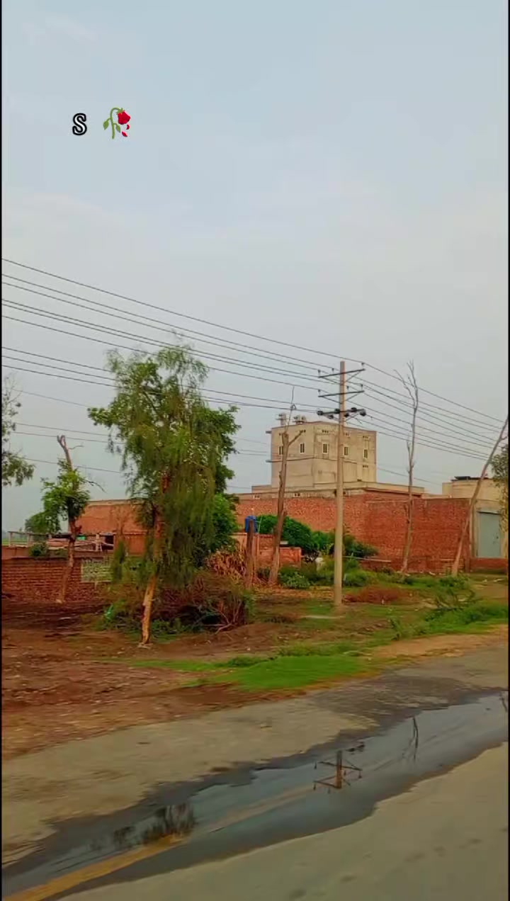 @💝شانی سندھو 🌱🌾
