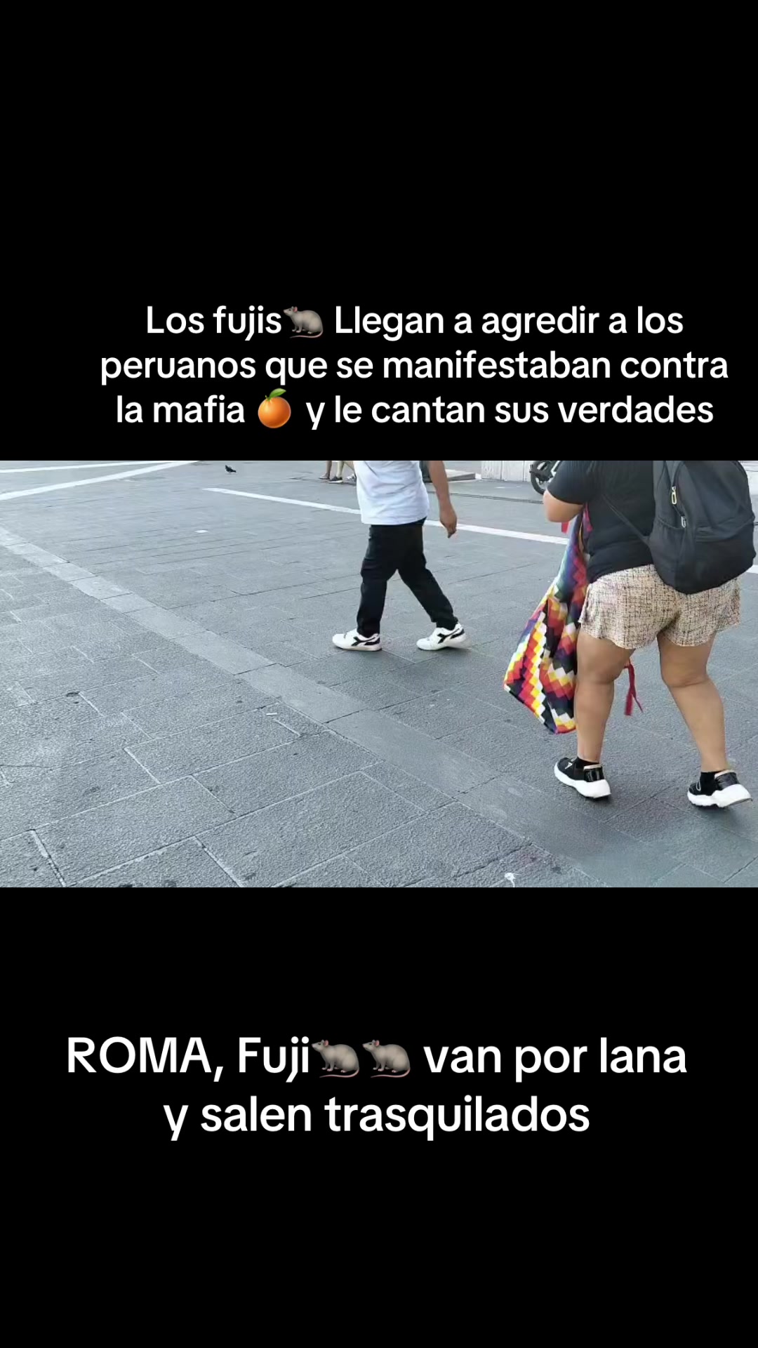 @PEXSemillasdeLibertad