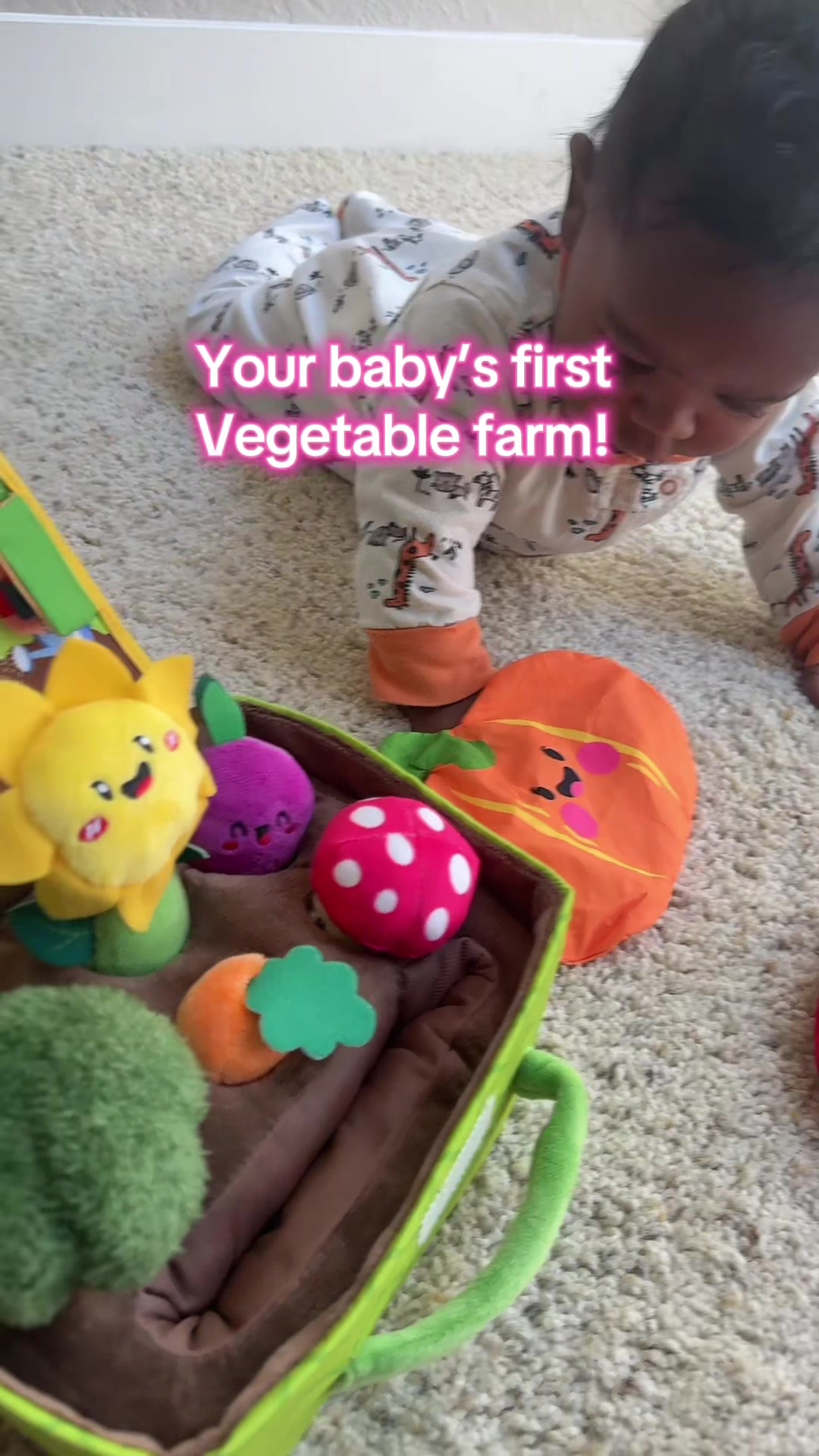 @Sai-Ace610 🌸