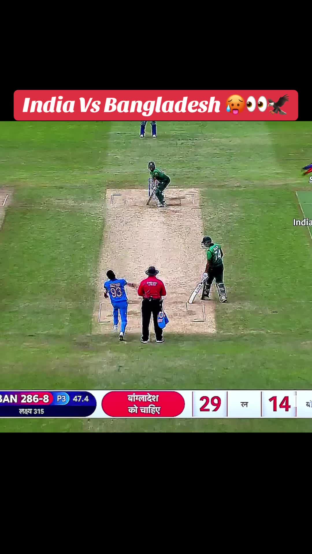 @CRICKET LOVER 🔥🏏
