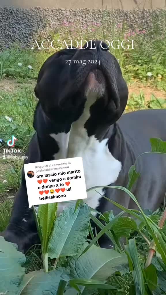 @❤️Roberta & Rey ❤️