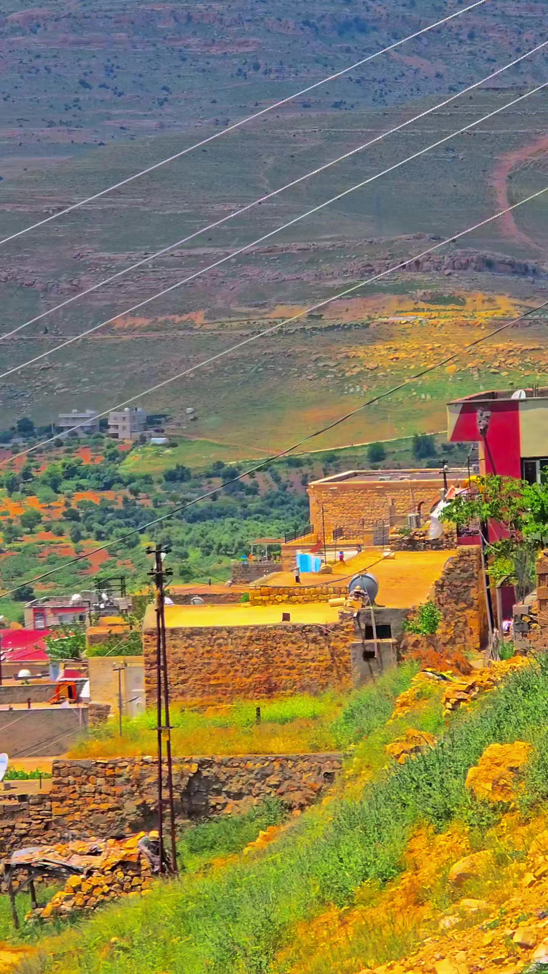 @Rıdvan Açan