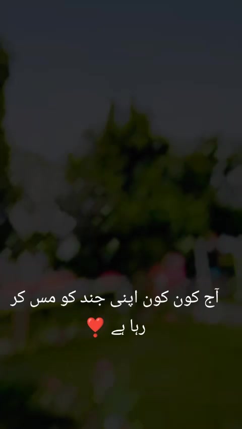 @➳ᴹᴿ᭄جند 💫✤
