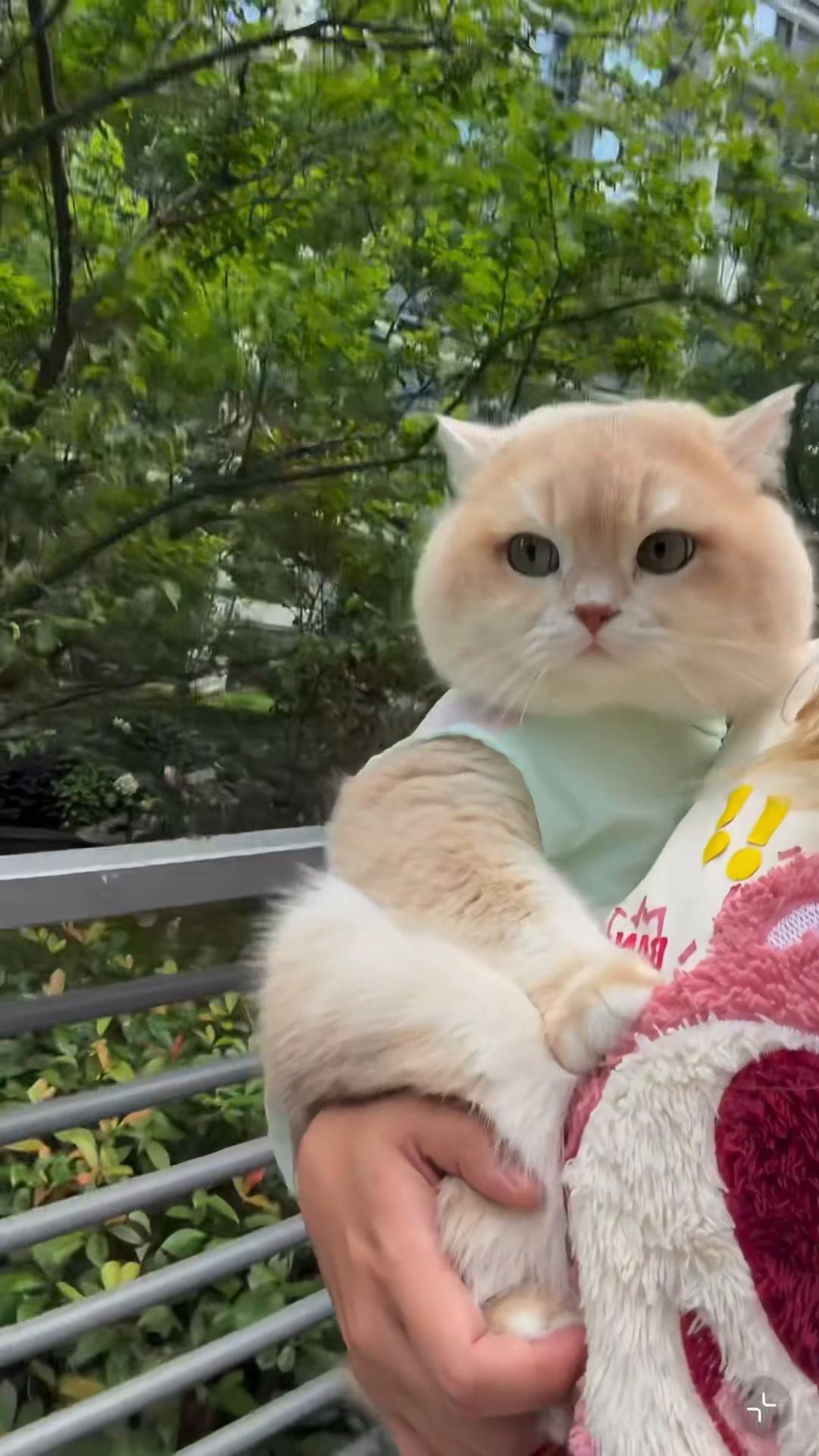 @My Daily Dose of Aww