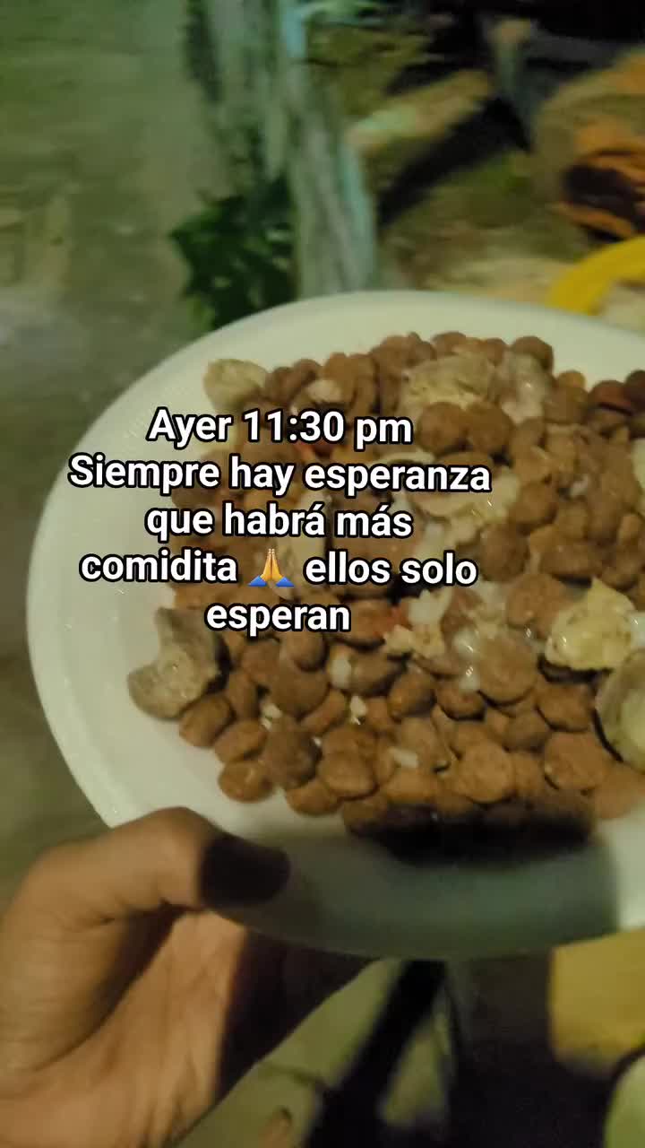 @𝕃𝕚𝕤𝕤 ℝ𝕖yes🇸🇻