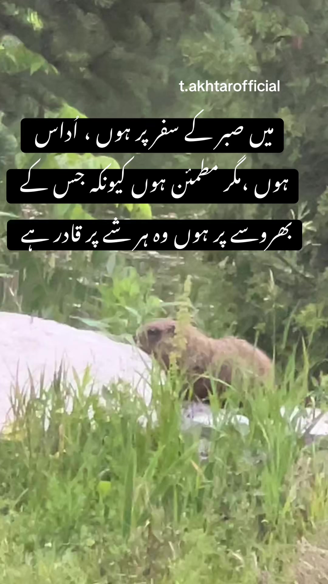 @T.Akhtar Official