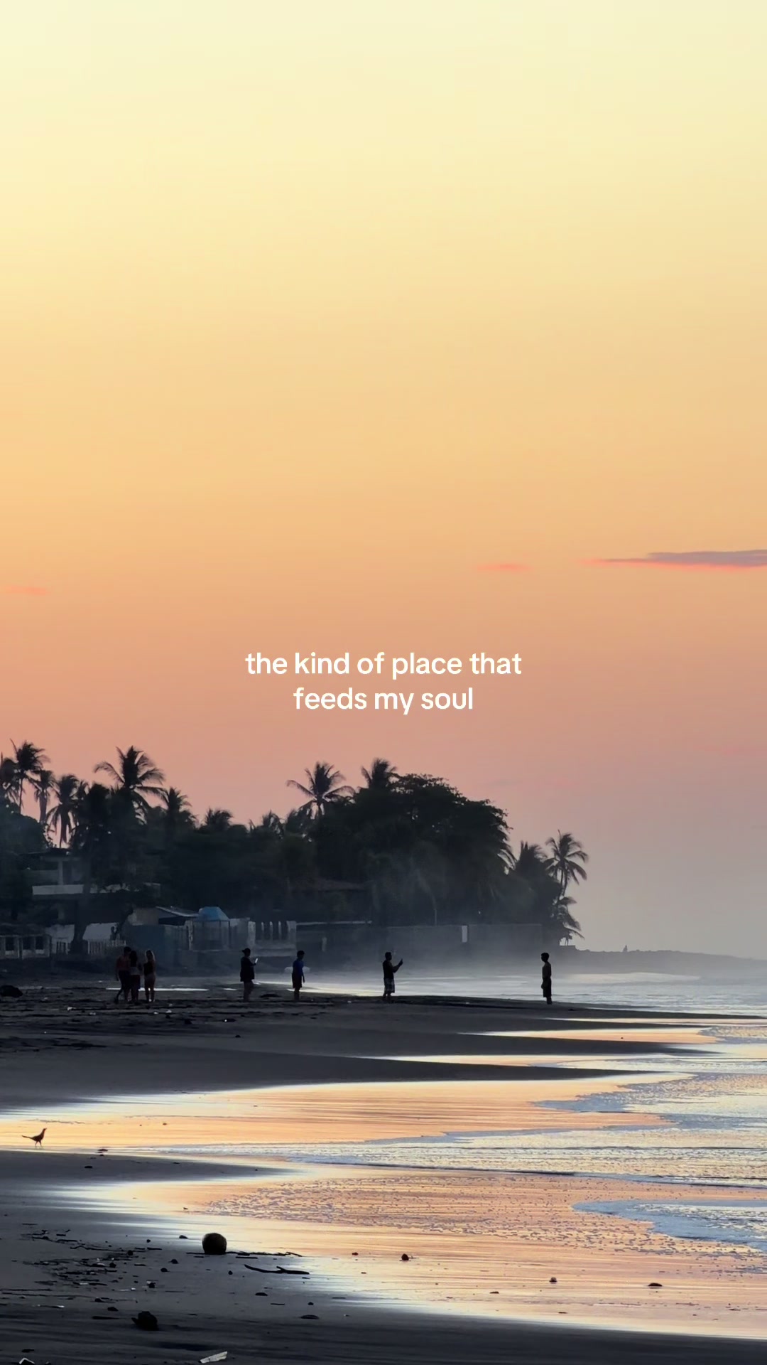 @LIV 🌞 TRAVEL & PHOTO