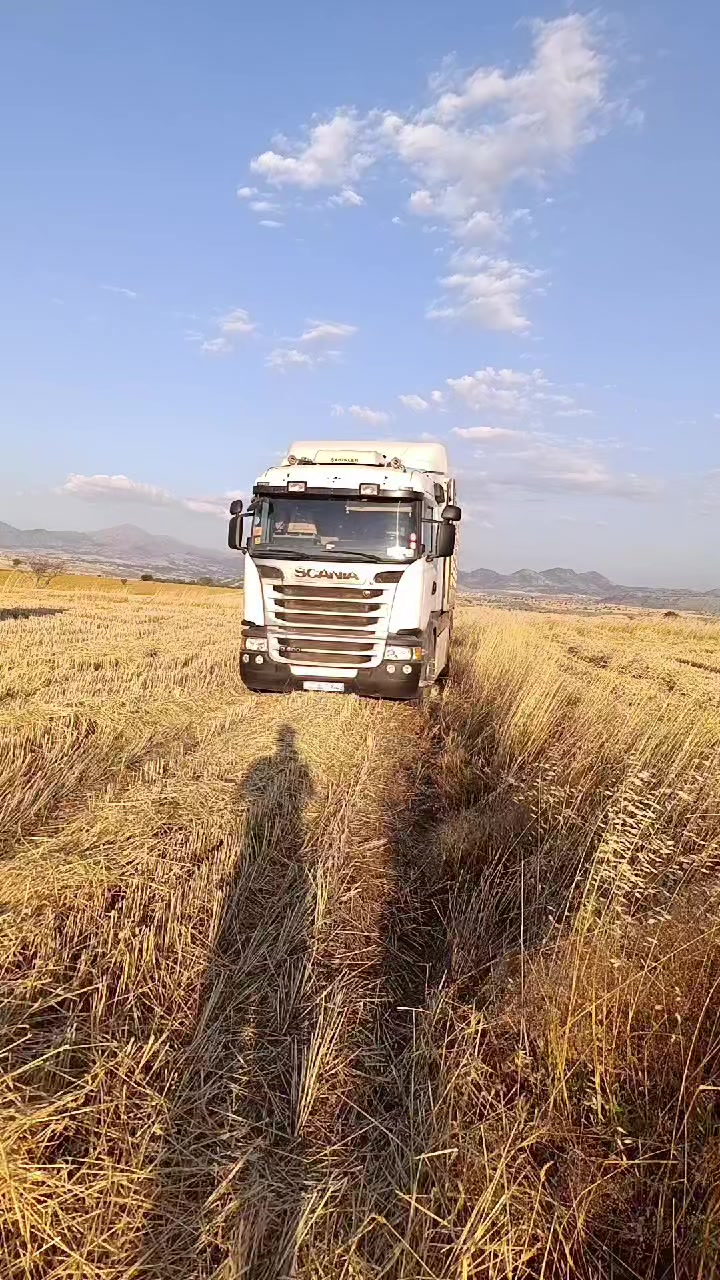 @İbrahim Sarıkurt