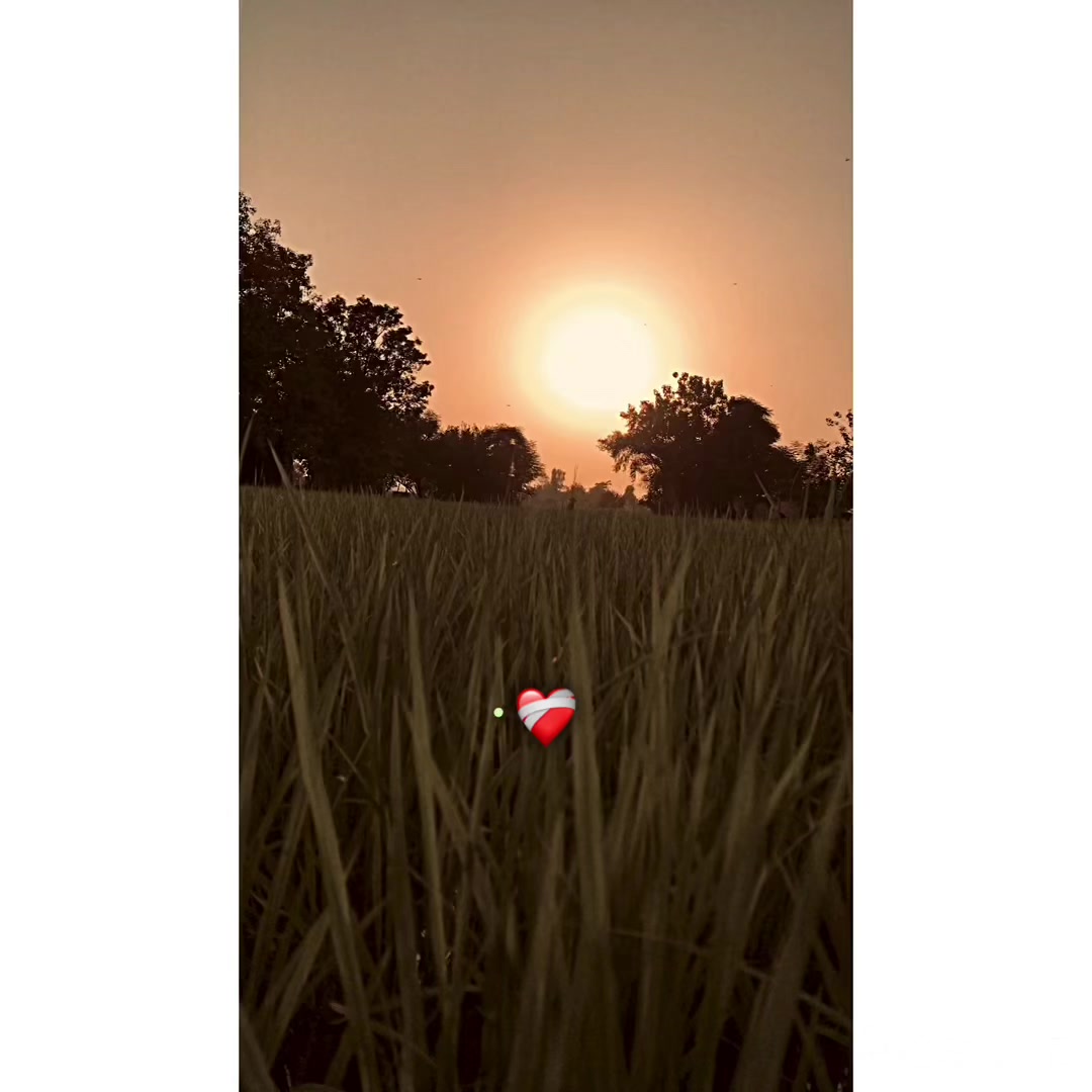 @پنجاب ❤️🩹