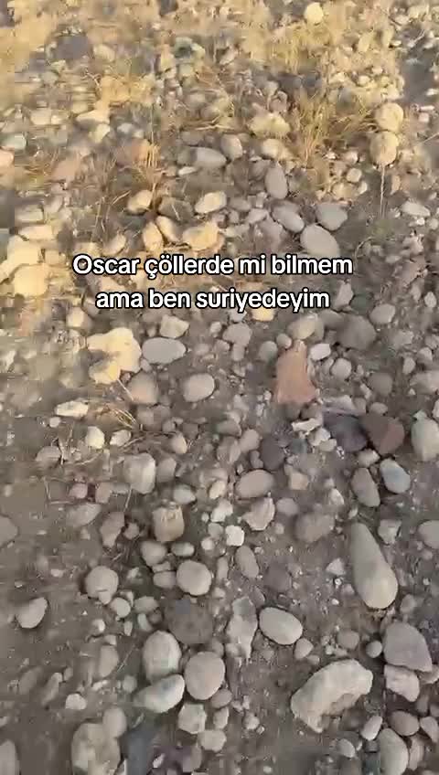 @Bahar