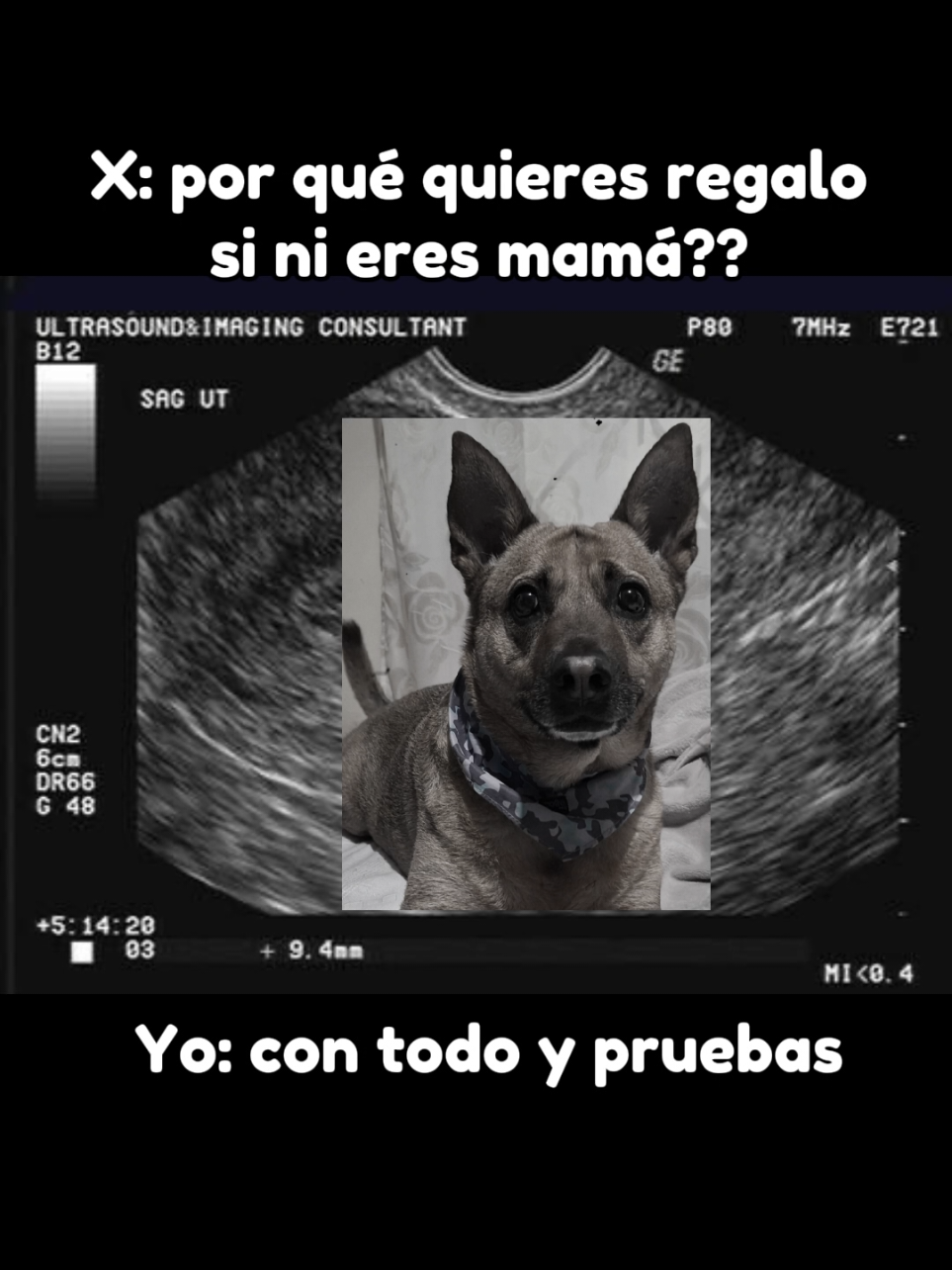 @Jessica Santos