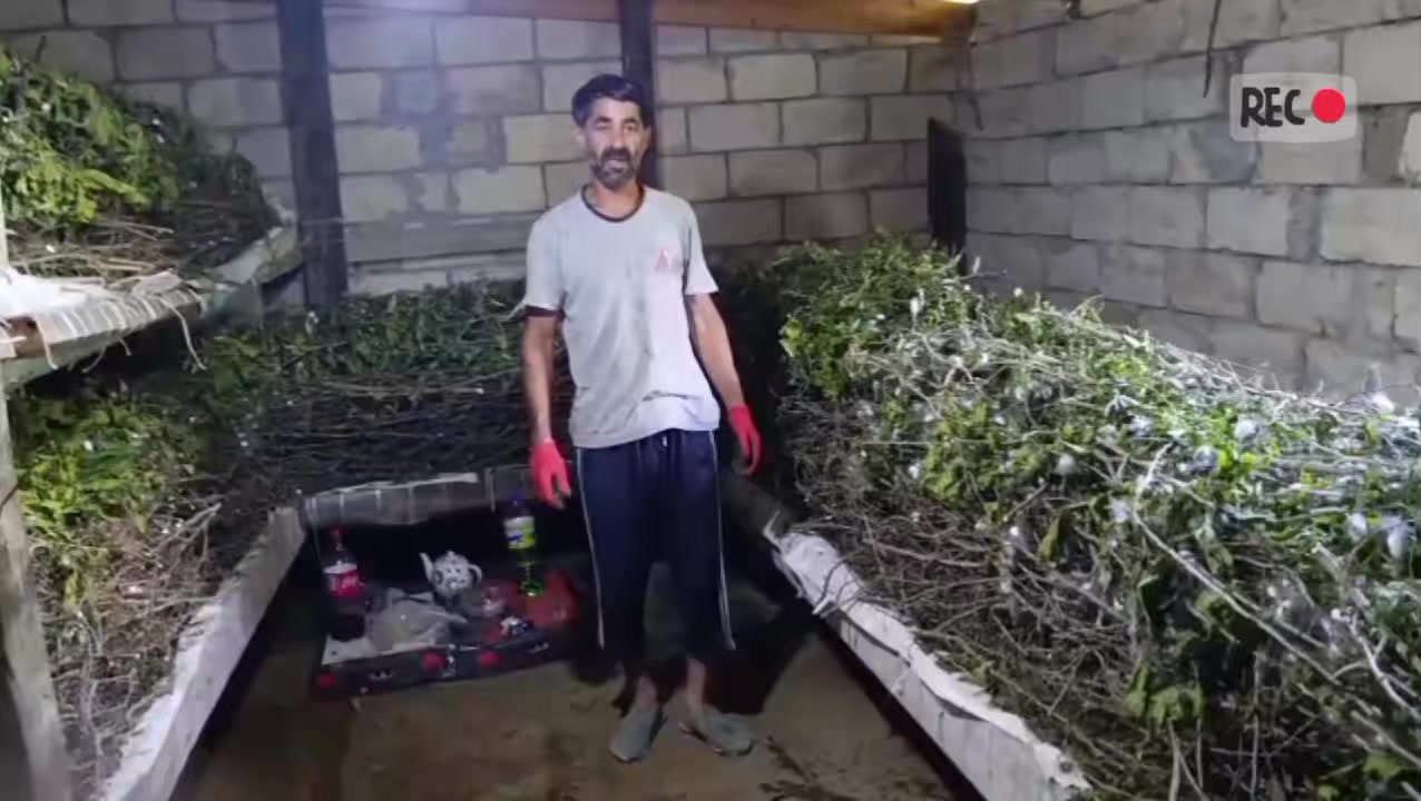 @Sabirabad_Media_G&uuml;ndəmi