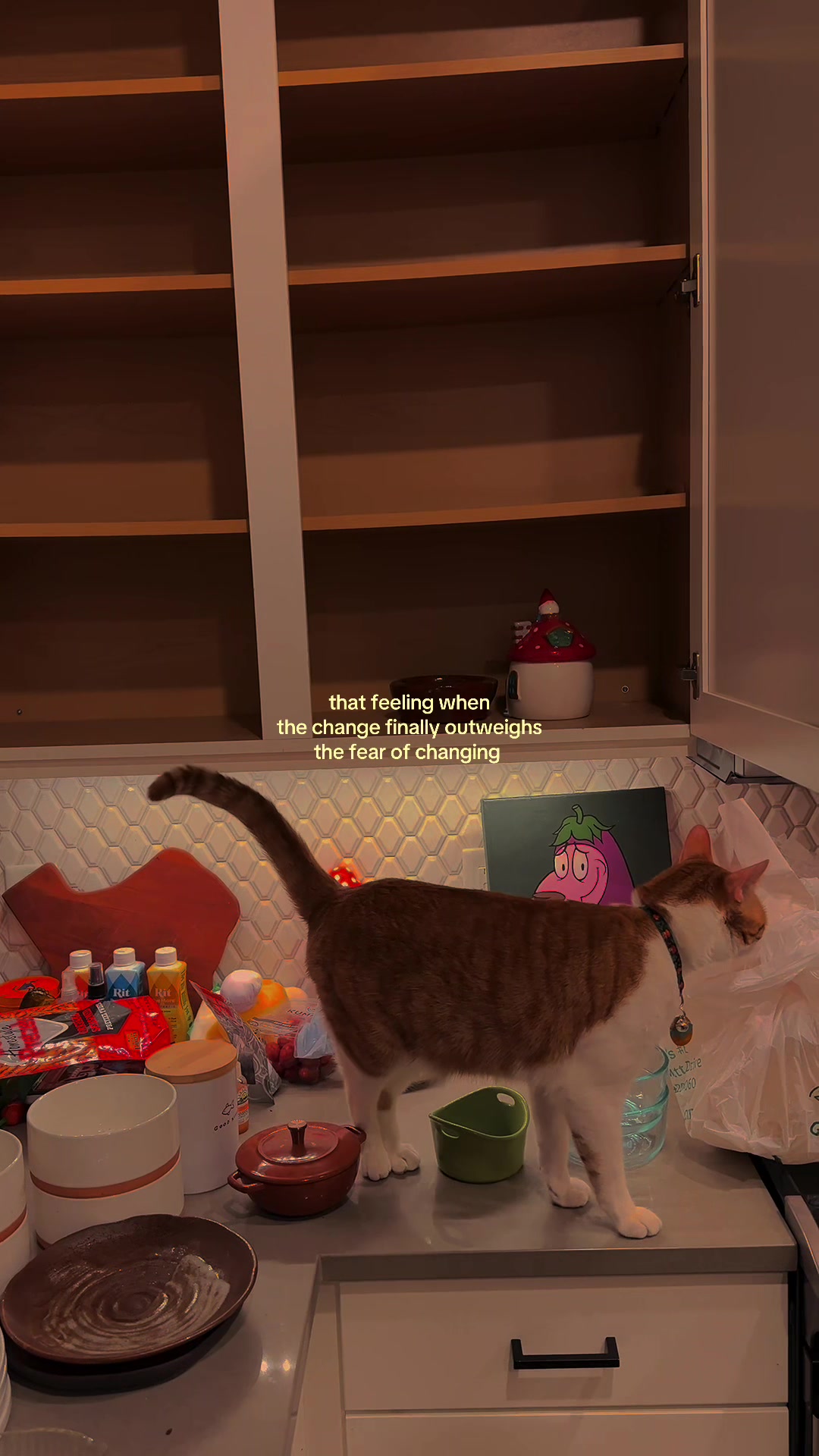 @mossdarling.jpg