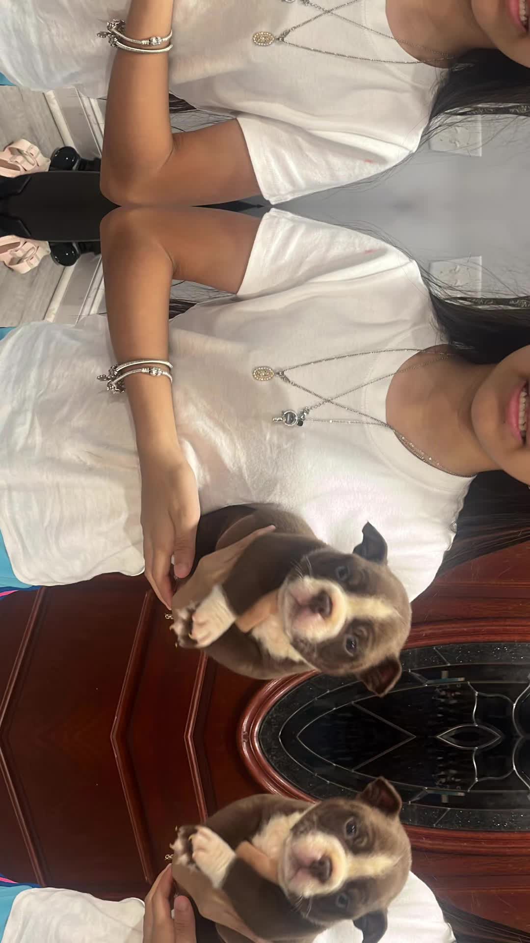 @baglife_kennels