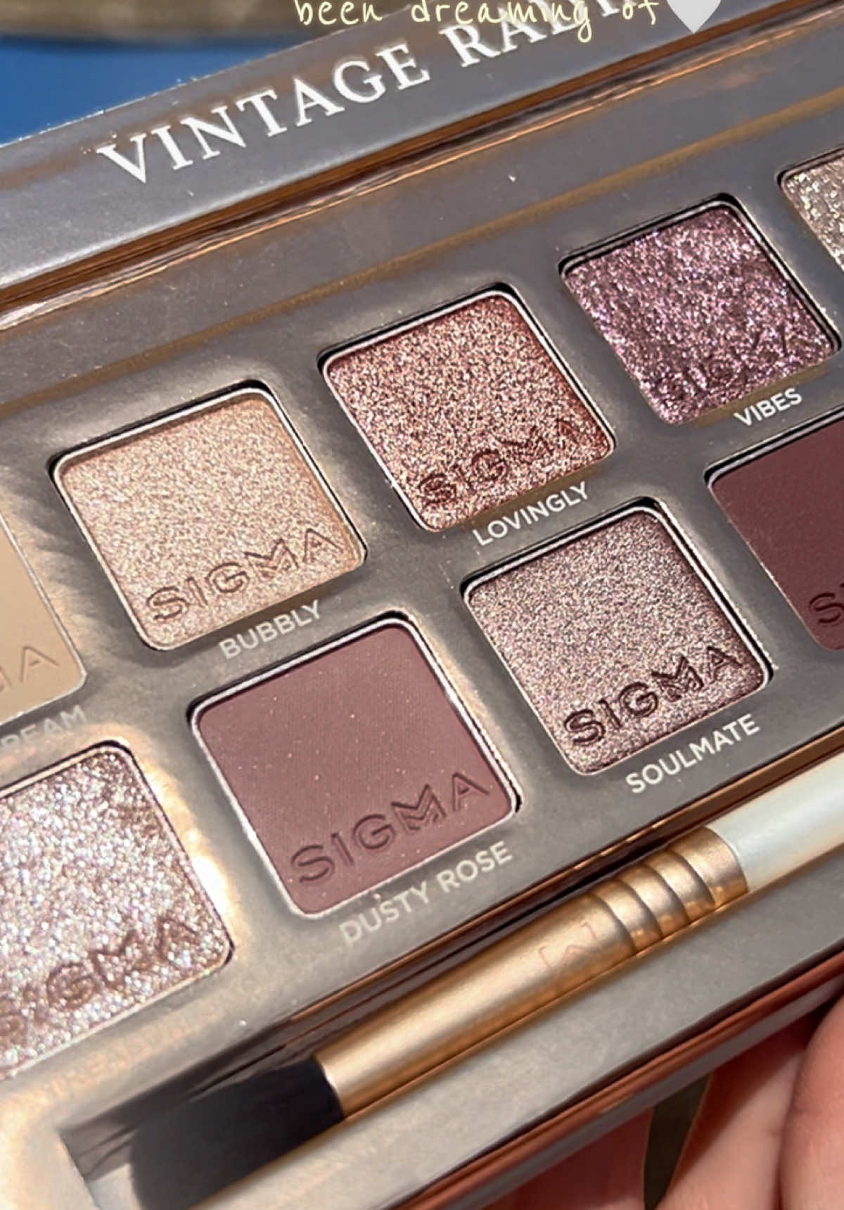 @Sigma Beauty