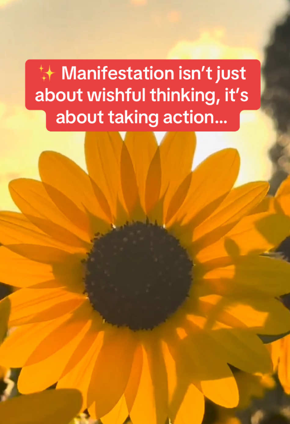 @AbundanceFlow*Manifestation