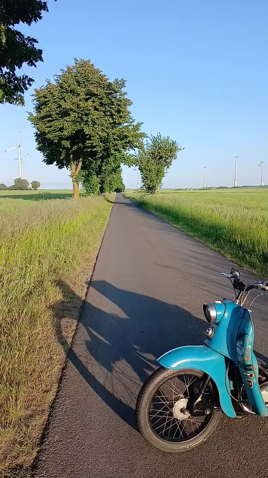 @Kr50_Maximilian