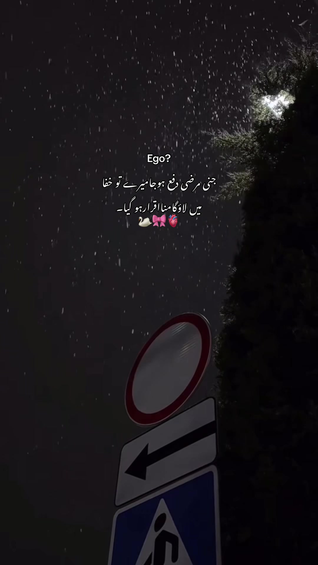 @𝐌🕷️
