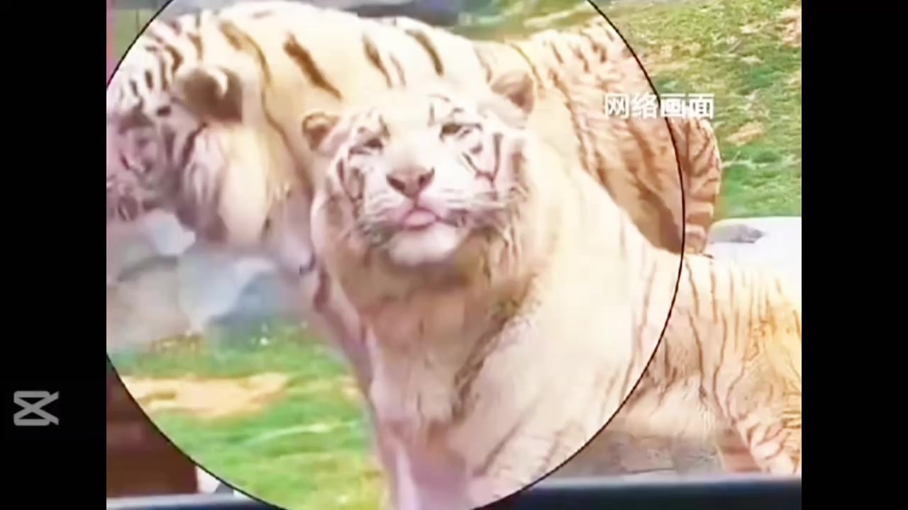 @liujiangyu