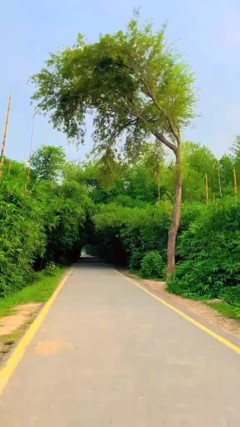 @Aamir khokhar