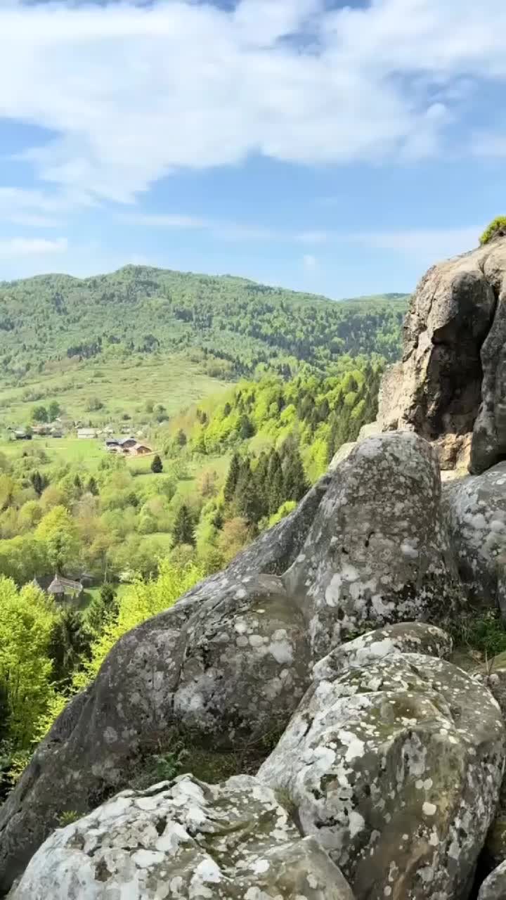 @🐦🔥ͲᎡᏆᏦՏᏆ🐦🔥