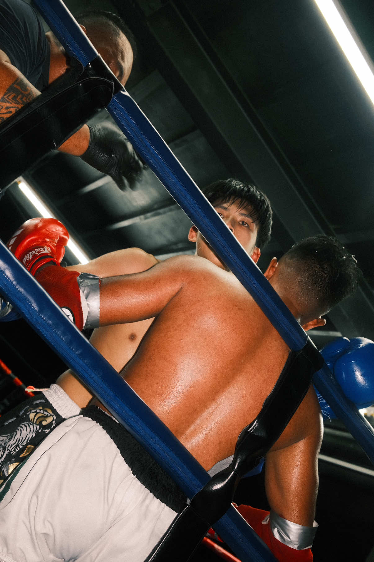@Malaysia Fight League